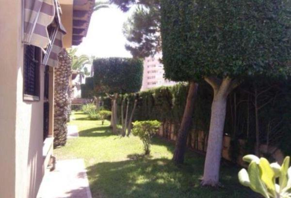 IDEAL para VERANO con PISCINA e INVIERNO con COCINA de LEÑA La Mata (Torrevieja) Exterior foto