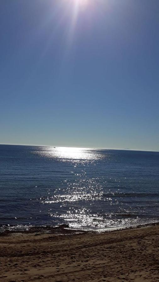 IDEAL para VERANO con PISCINA e INVIERNO con COCINA de LEÑA La Mata (Torrevieja) Exterior foto